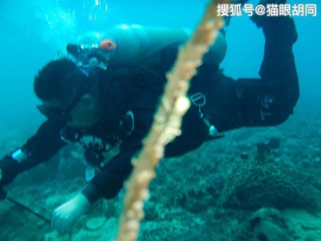 梦幻西游电脑版