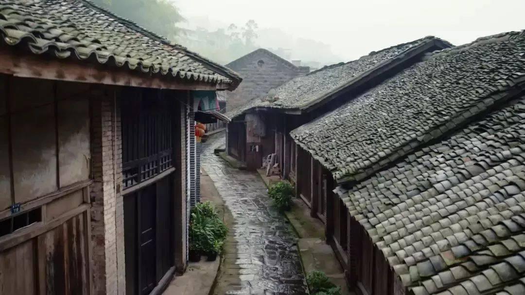 救援墨镜哥